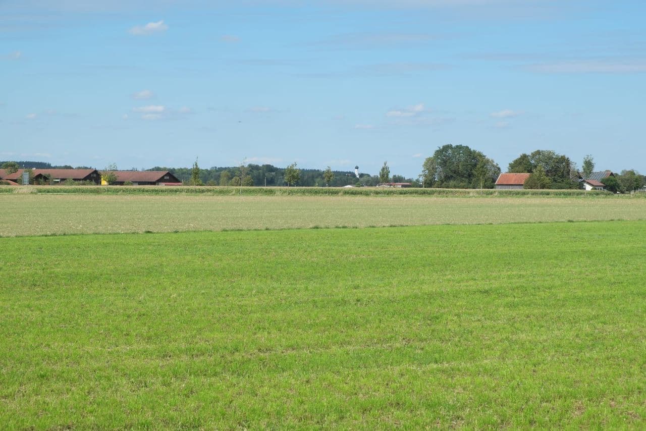 Blick auf den Ort Alling mit der Pfarrkirche Mariä Geburt vor Feldern und Bäumen.