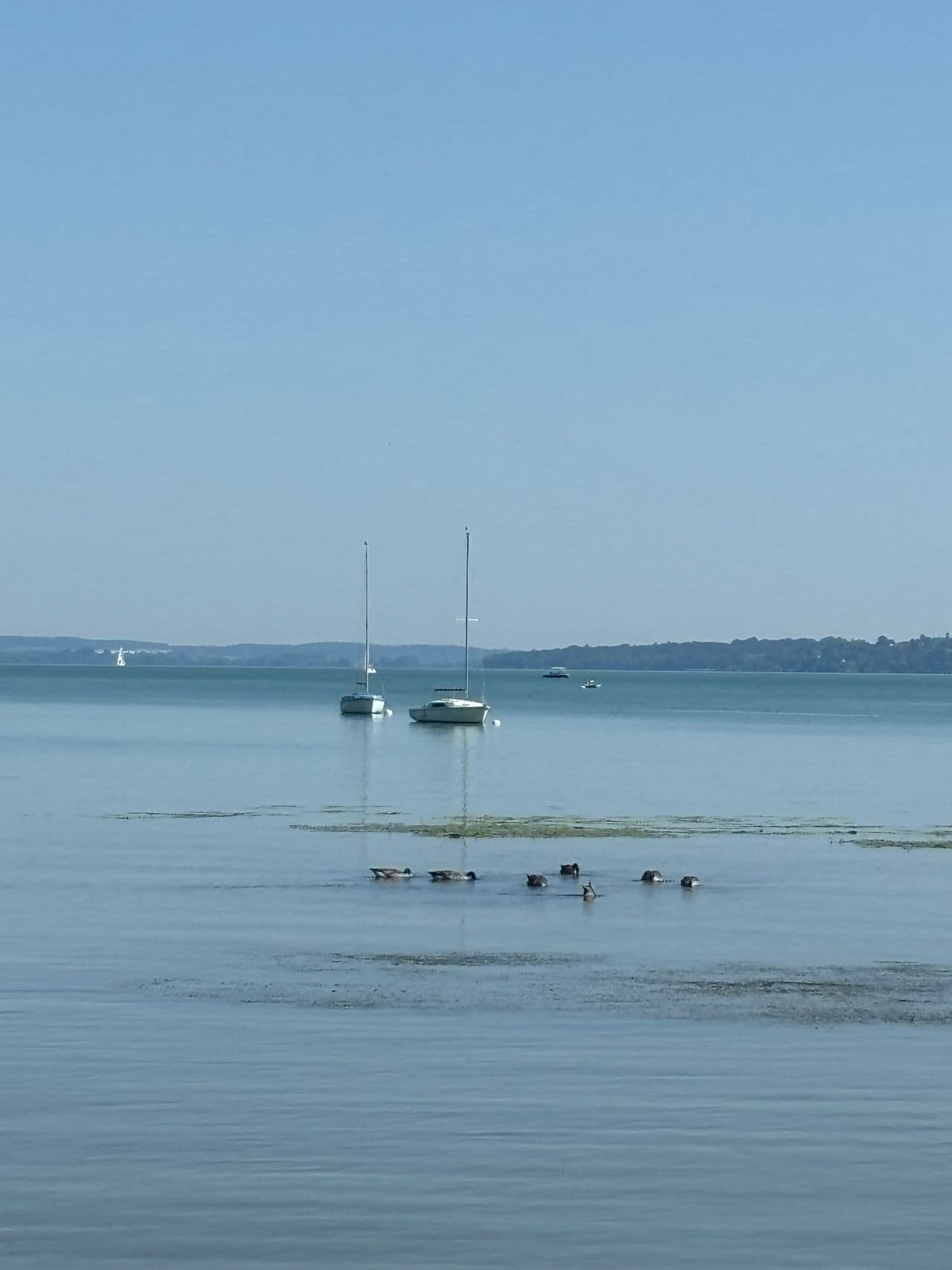Segelboote auf dem Ammersee bei Dießen