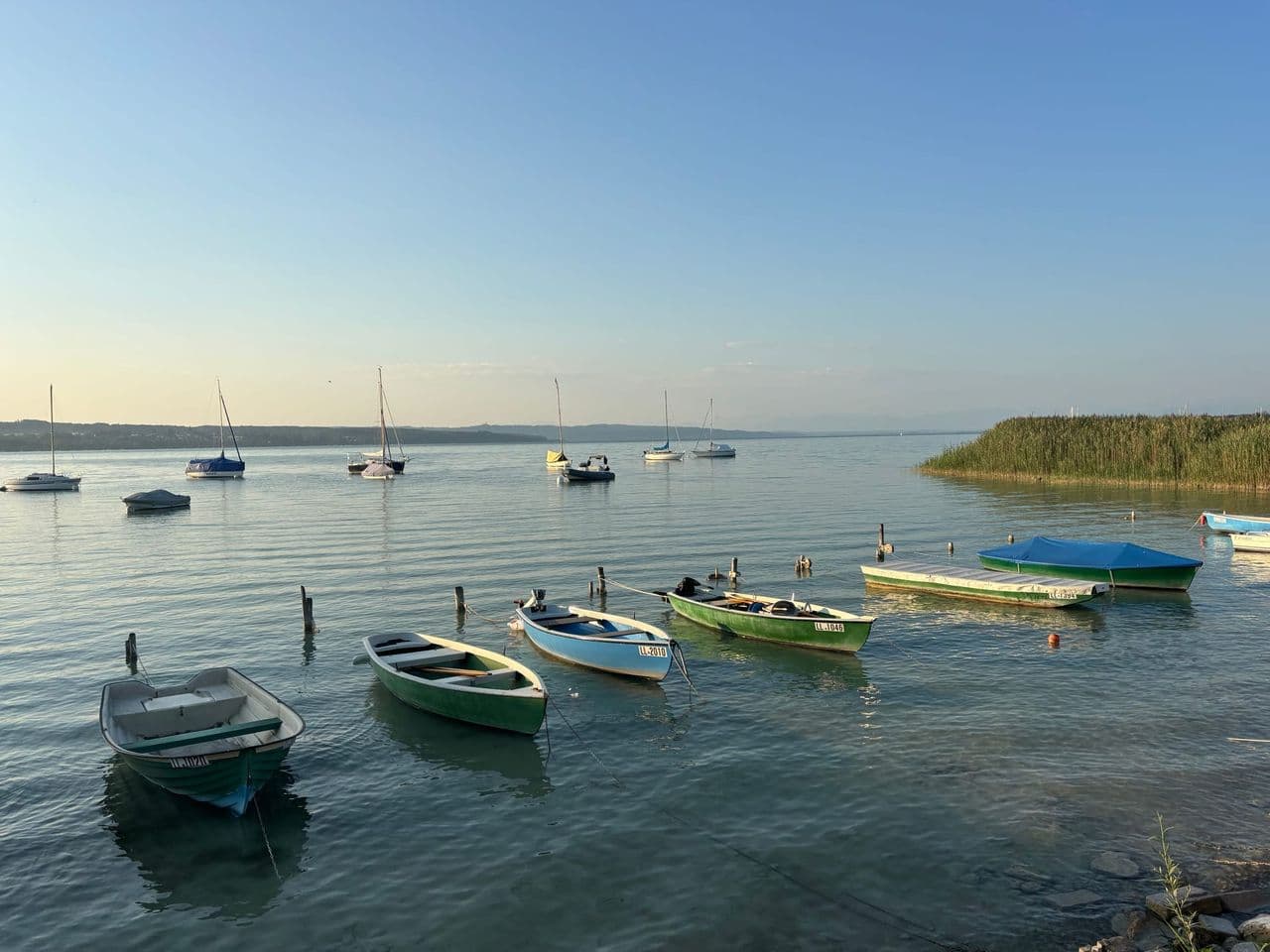 Schilf und Boot am Ammersee-Ufer bei Schondorf