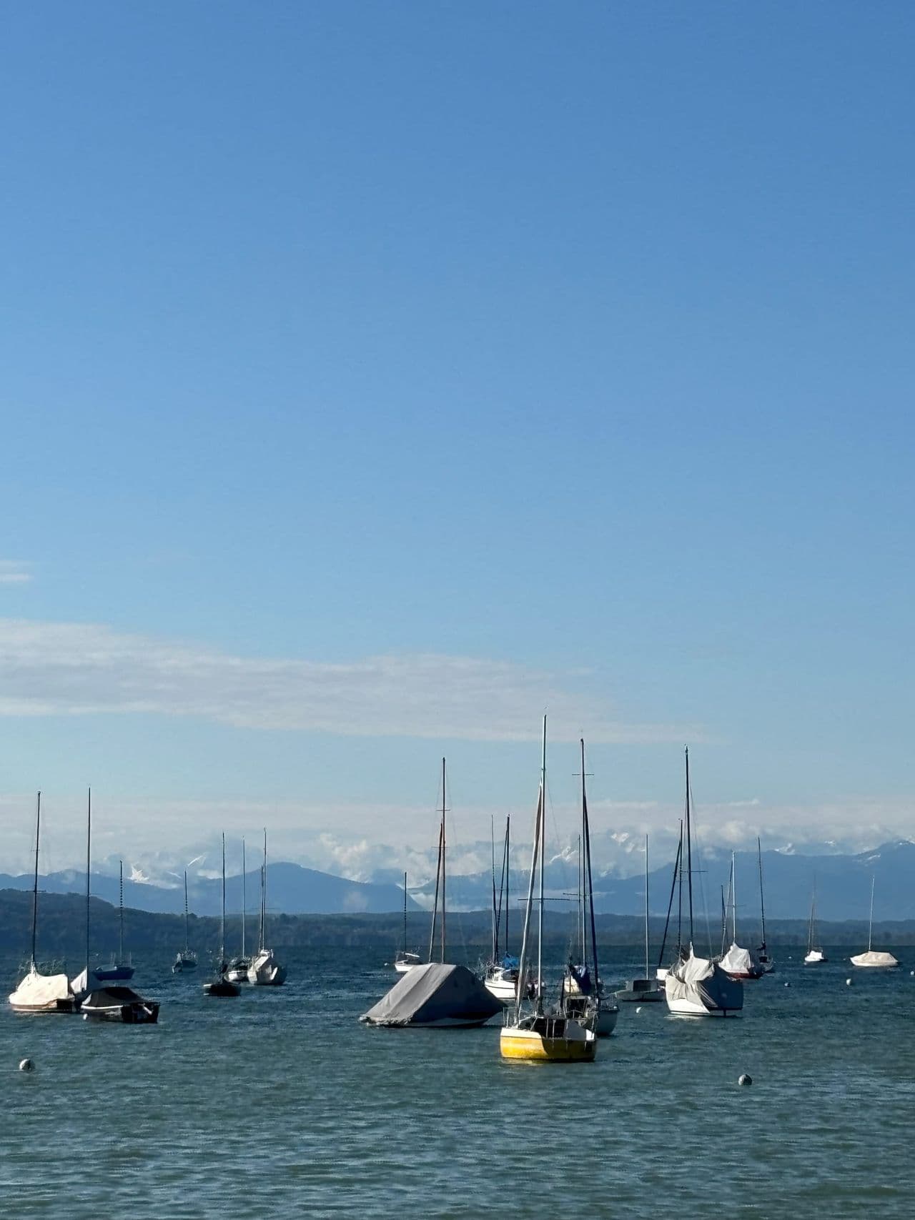 Ammersee mit Alpenpanorama bei Utting