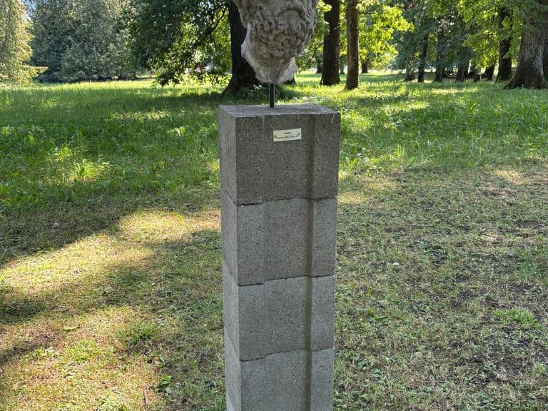 Kultur & Ausstellungen